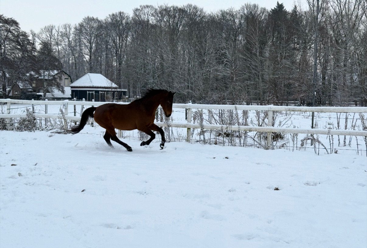 Bijrijder gezocht |  Loenen, Ophalen of Verzenden