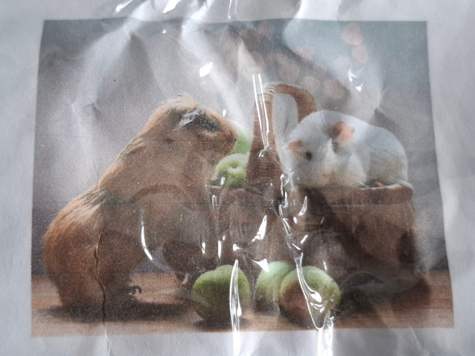 NIEUWE Diamond Painting CAVIA - 20 x 25 cm, Hobby en Vrije tijd, Ophalen of Verzenden, Nieuw, Knutselwerk