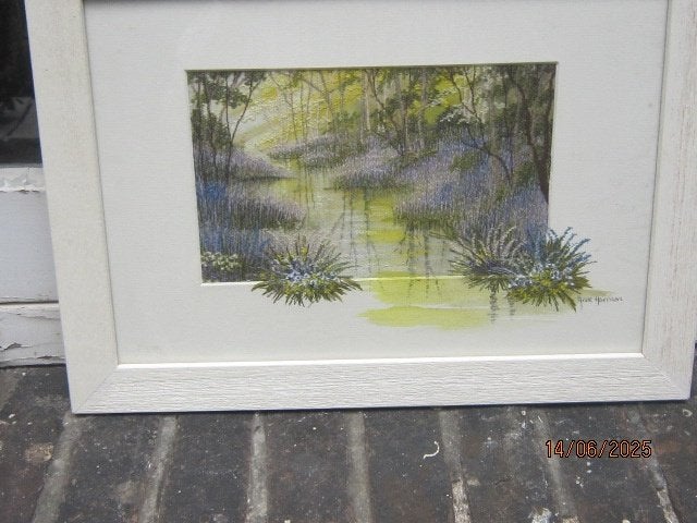 Byz. Comb Schild. Aquarel/Borduren Anne Harrison Witte lijst, Antiek en Kunst, Ophalen, Expressionistisch, Bloemen, Papier
