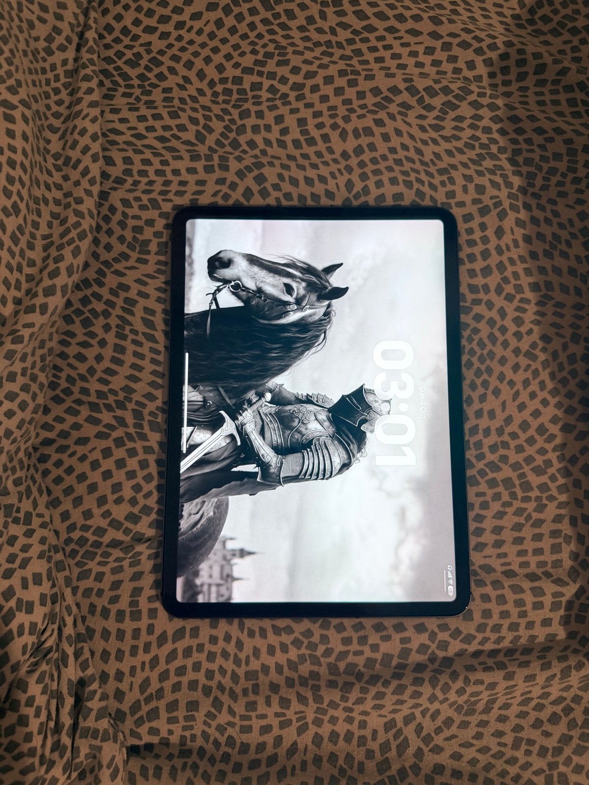 iPad Pro 11-inch (2e gen, 2021) 256 GB - Zeer nette staat