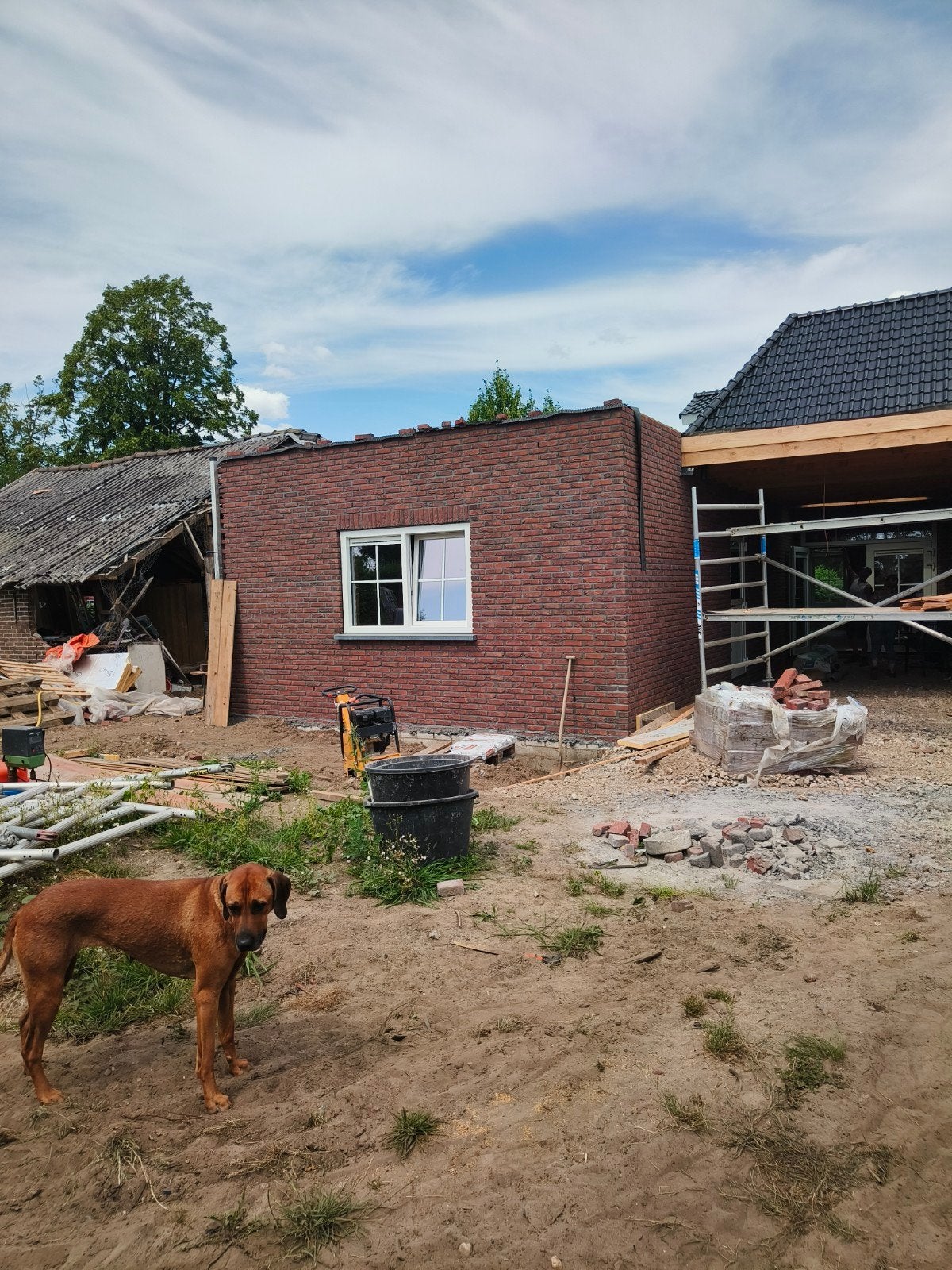 metselaar zoekt werk, Doe-het-zelf en Verbouw, Metselstenen, Ophalen, Nieuw, Overige typen