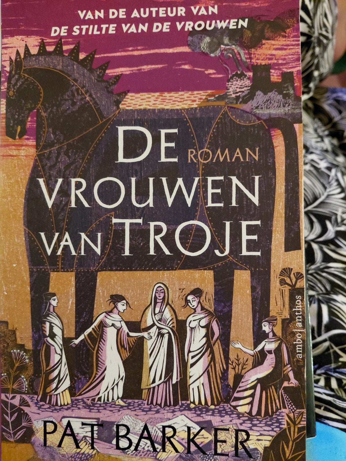 De Vrouwen van Troje - Pat Barker (Roman), Boeken, Ophalen of Verzenden, Gelezen, Pat Barker