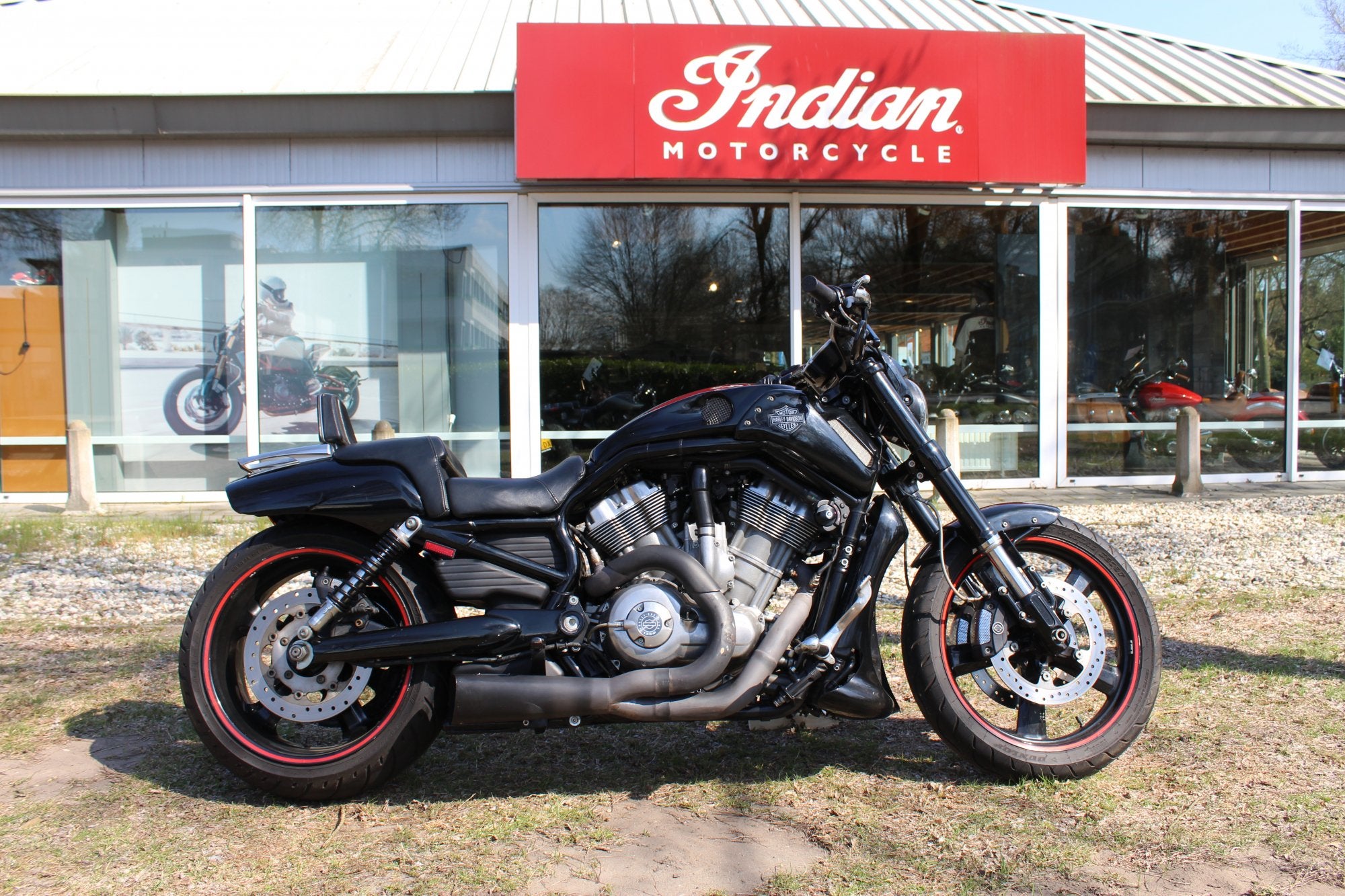 Harley-Davidson V-Rod Muscle, Motoren, Chopper, Bedrijf, Meer dan 35 kW, 1250 cc