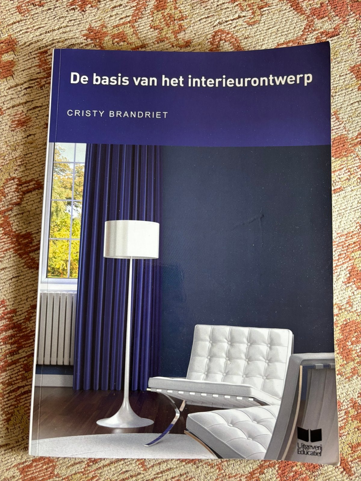 Cristy Brandriet - De basis van het interieurontwerp, Ophalen of Verzenden, Zo goed als nieuw, Cristy Brandriet