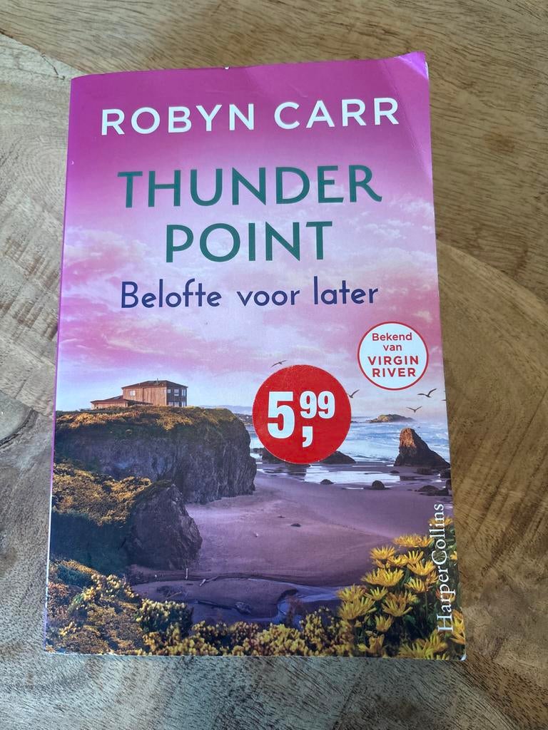 Thunder Point: Belofte voor later - Robyn Carr, Verzenden, Gelezen, Europa overig