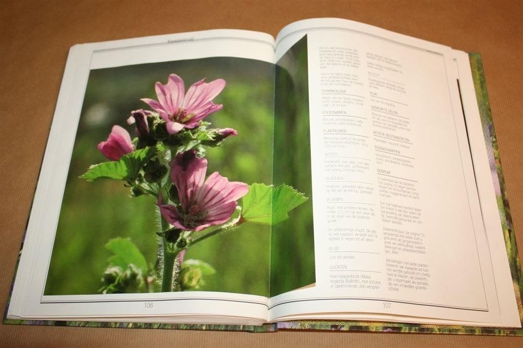 Genezende Planten — Geneeskruiden en Uitklapplaten, Ophalen of Verzenden, Gelezen, Overige onderwerpen, Achtergrond en Informatie
