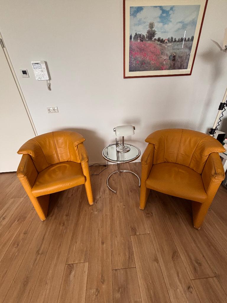 ROLF BENZ stoelen, Ophalen, Gebruikt, Twee, Overige kleuren