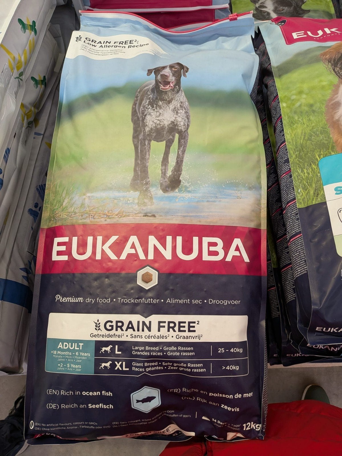 graan vrije hondenbrokken, Ophalen, Hond