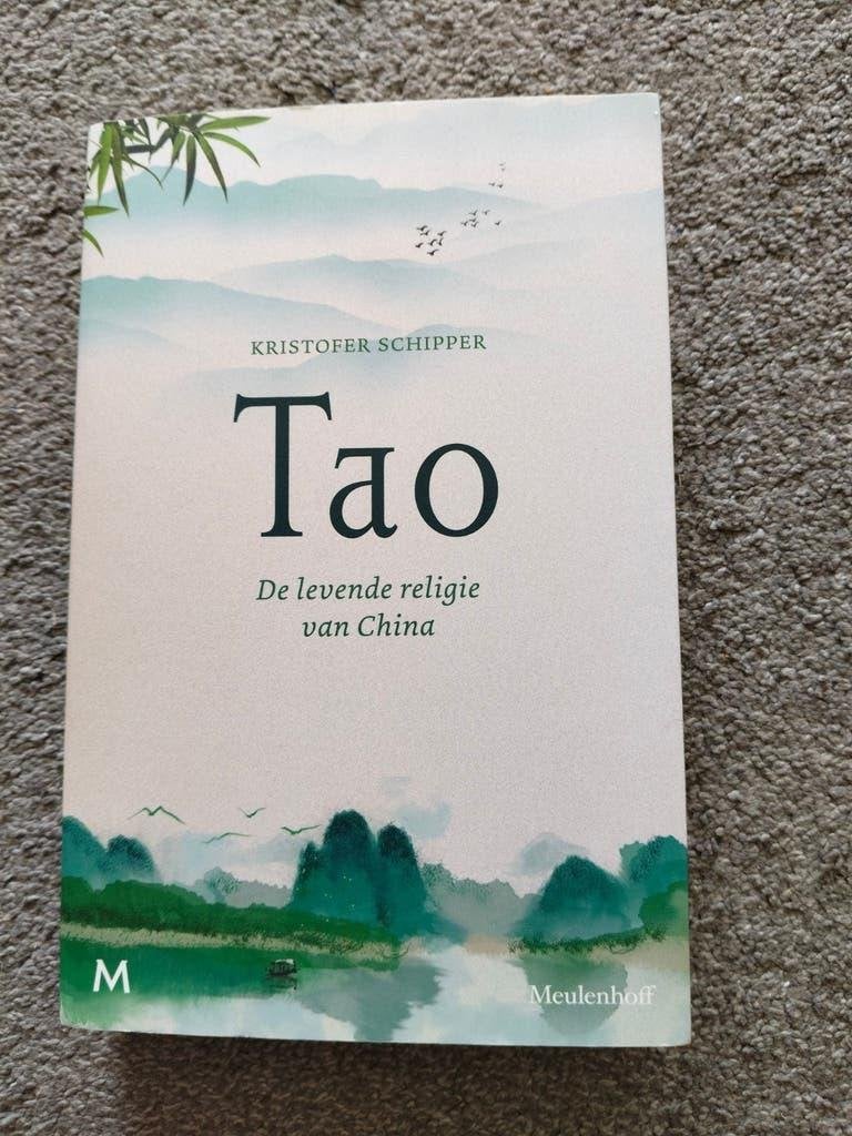 Tao: De levende religie van China - Kristofer Schipper, Achtergrond en Informatie, Spiritualiteit algemeen, Ophalen of Verzenden