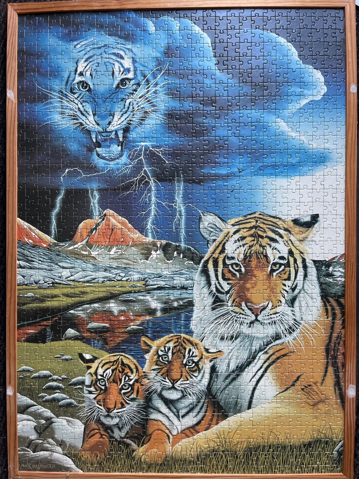 Gratis puzzel als schilderij, Ophalen, 500 t/m 1500 stukjes, Gebruikt