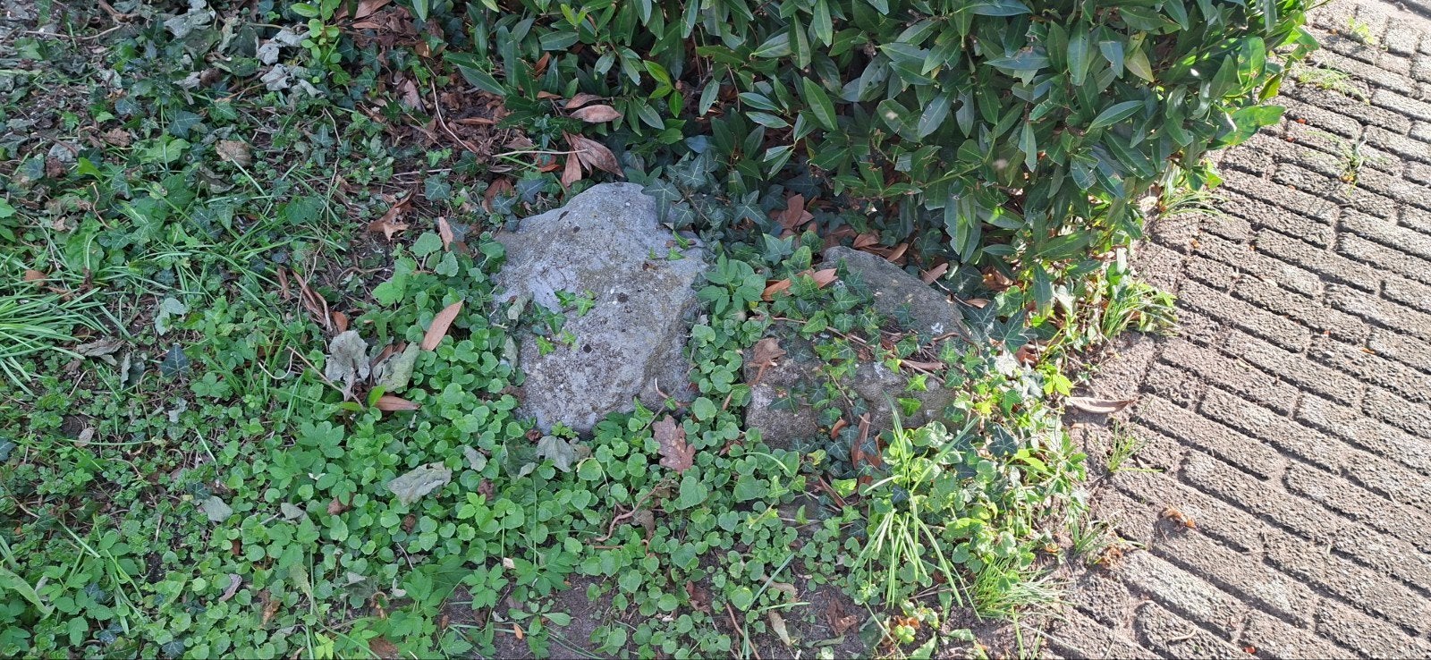 Foto 6 van Basalt blokken mooie voor aan je vijver Gratis met geld er b