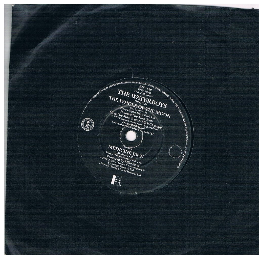 The Waterboys The whole of the moon, Cd's en Dvd's, Verzenden, Zo goed als nieuw, Pop