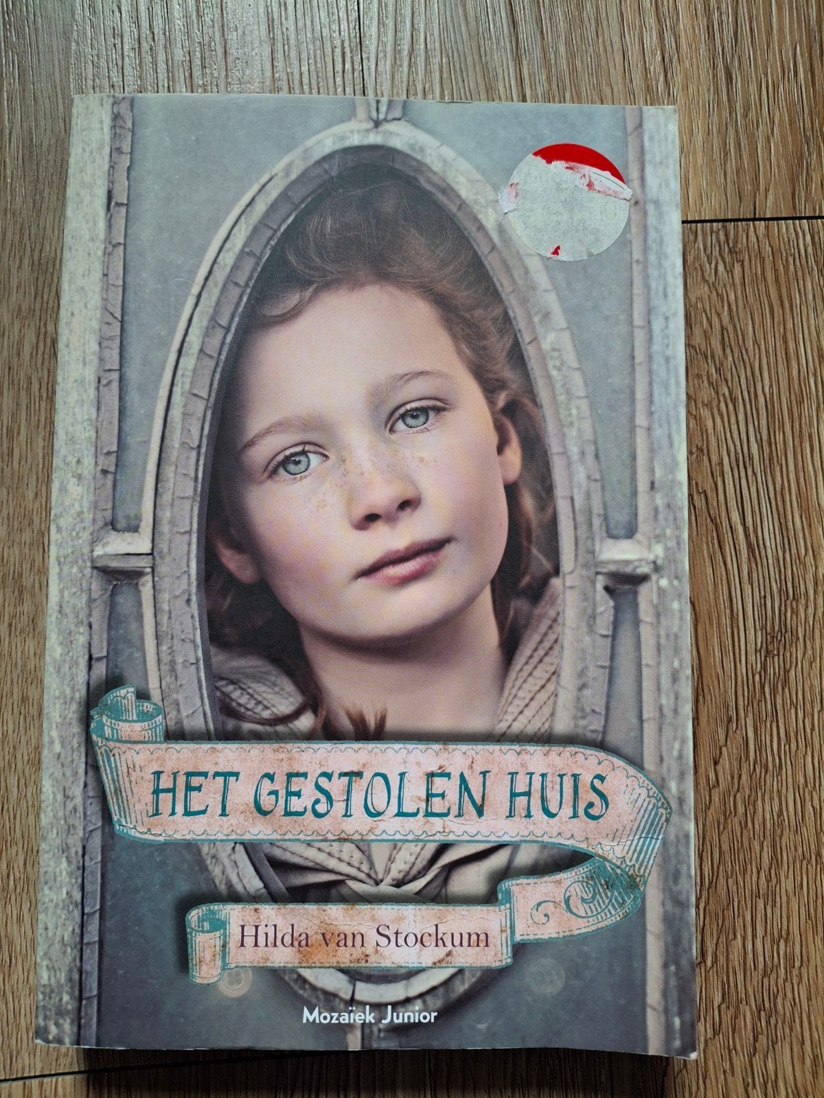 Hilda van Stockum - Het gestolen huis, Ophalen of Verzenden, Zo goed als nieuw, Hilda van Stockum