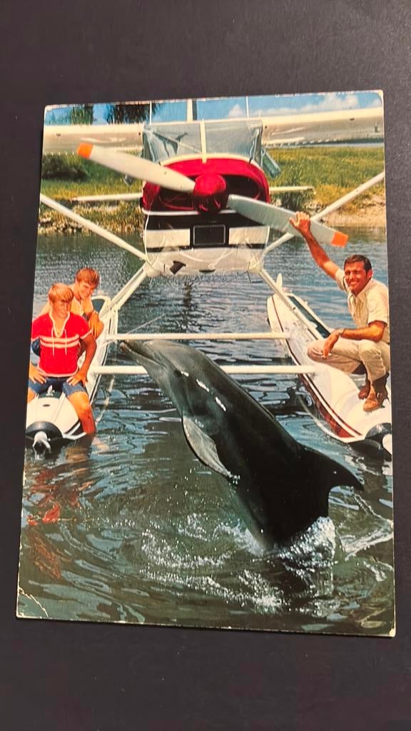 FLIPPER de dolfijn jaren 60 film serie en film, Verzenden, 1960 tot 1980, Gelopen, Sterren en Beroemdheden
