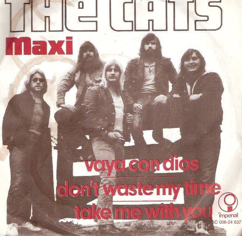 Cats [Maxisingle] Vaya Con Dios - Don't Waste My Time ea, Ophalen, Gebruikt, Pop