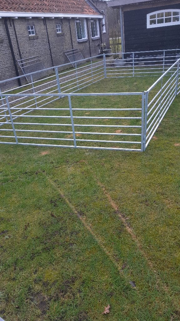 schapenhekjes, Dieren en Toebehoren, Vrouwelijk, Schaap