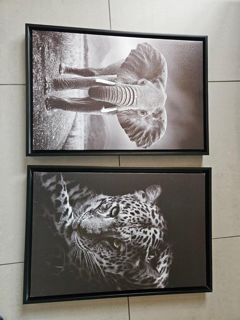Jaquar en Olifant foto in lijst, Ophalen, Zo goed als nieuw, Minder dan 50 cm, Foto of Poster