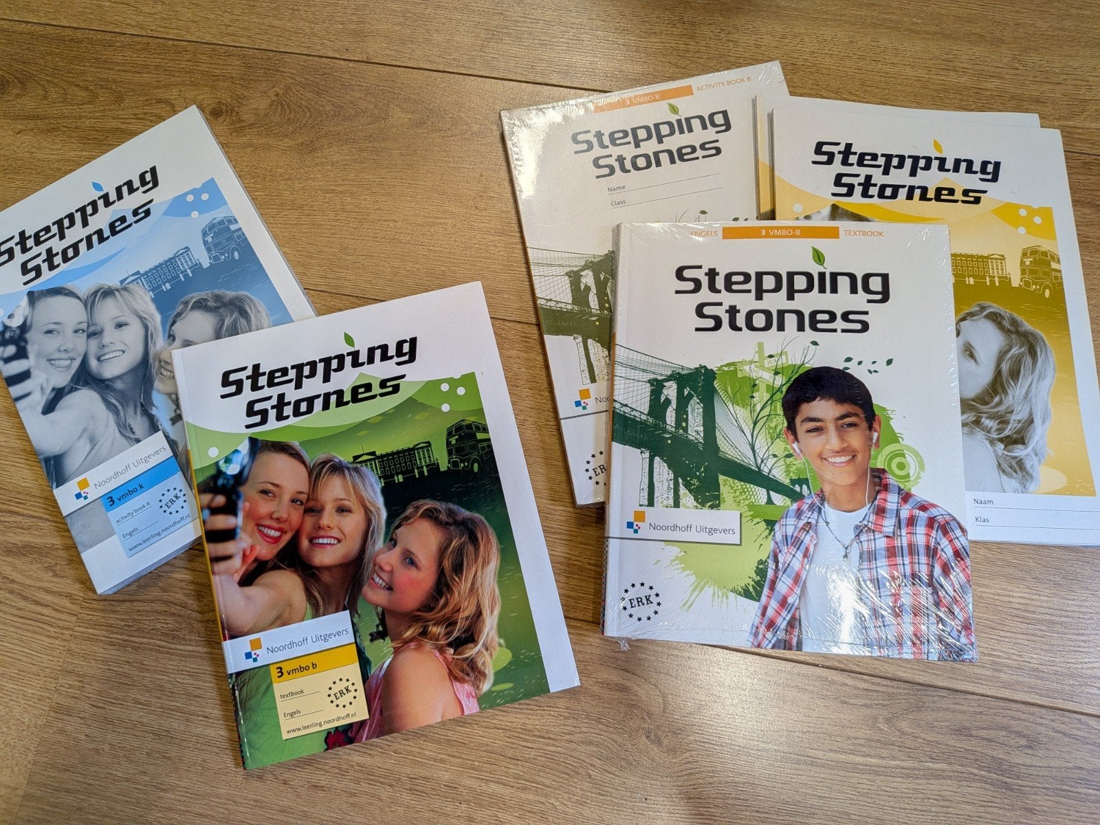 Stepping Stones Engels lesboeken klas 3 diverse niveaus, Ophalen of Verzenden, Nieuw, Engels