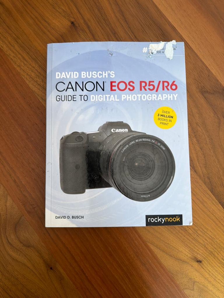 David Busch's Canon EOS R5/R6 Gids Digitale Fotografie, Boeken, Ophalen of Verzenden, Gelezen, Fotografie algemeen