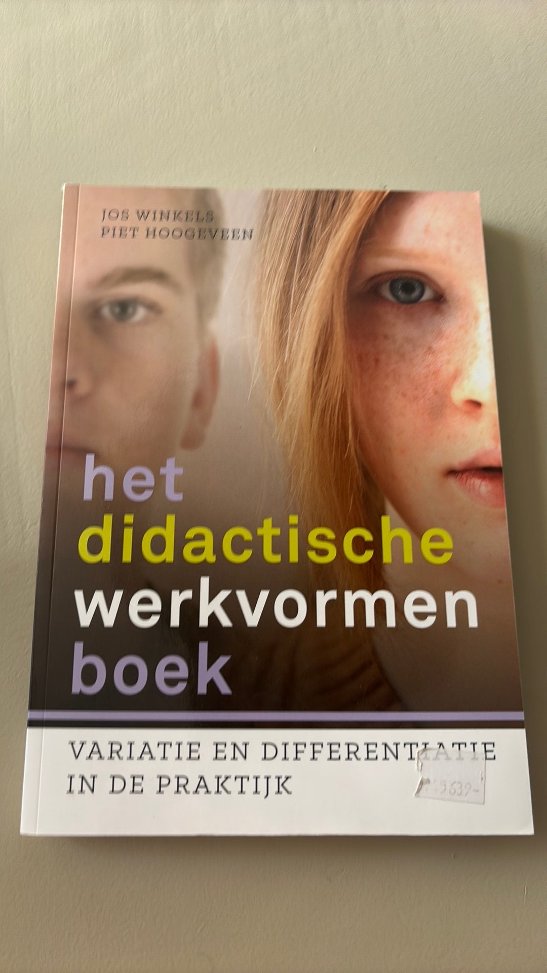 Piet Hoogeveen - Het didactische werkvormenboek, Sociale wetenschap, Ophalen of Verzenden, Zo goed als nieuw, Piet Hoogeveen; Jos Winkels