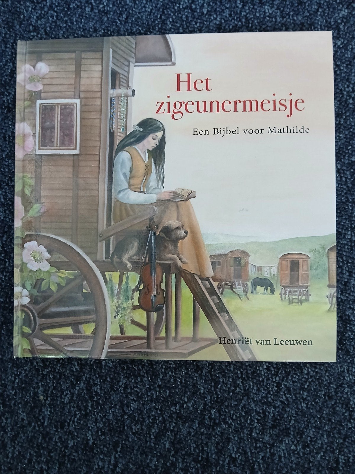 Het zigeunermeisje, Henriët van Leeuwen, Ophalen of Verzenden, Zo goed als nieuw, Henriët van Leeuwen, Christendom | Protestants
