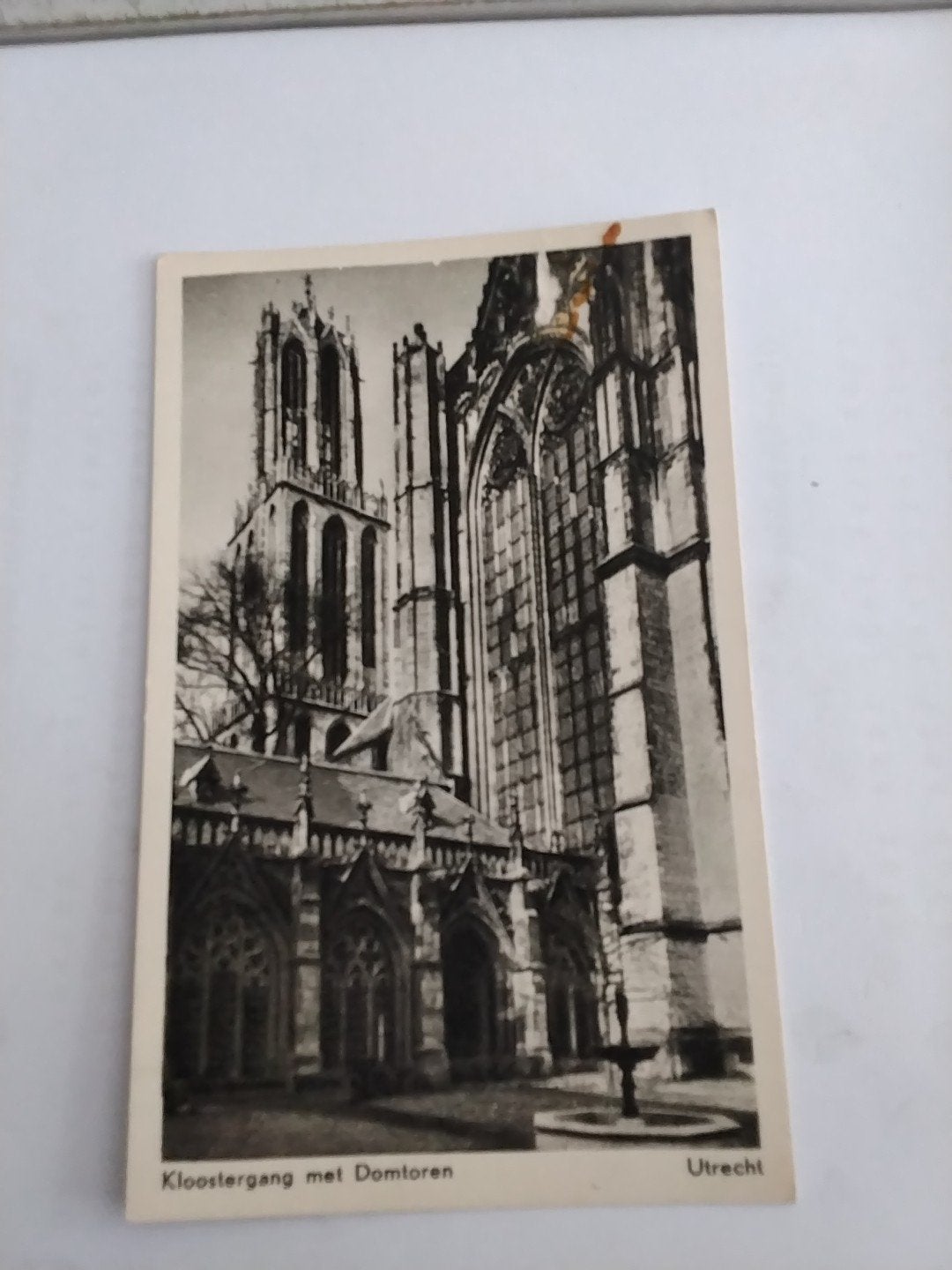 Ansichtkaart Utrecht: Kloostergang met Domtoren, Ophalen of Verzenden, 1940 tot 1960, Ongelopen, Utrecht