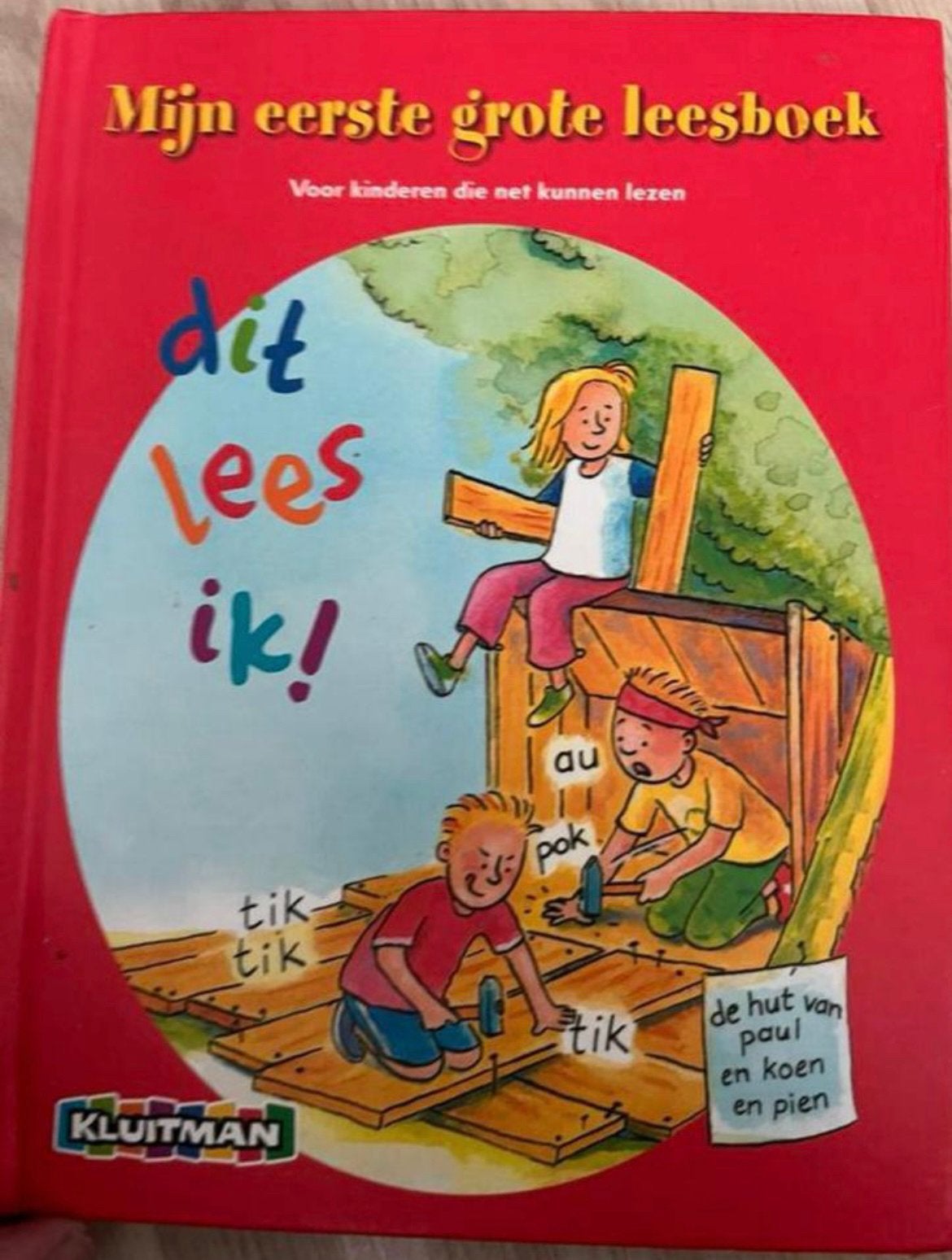 Mijn eerste grote leesboek dit lees ik !, Ophalen of Verzenden, Gelezen, Non-fictie