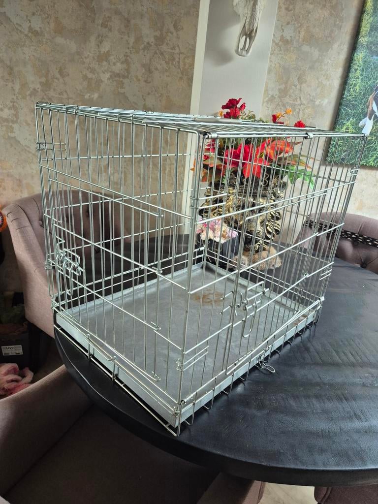 Honden bench, Dieren en Toebehoren, Ophalen, Zo goed als nieuw