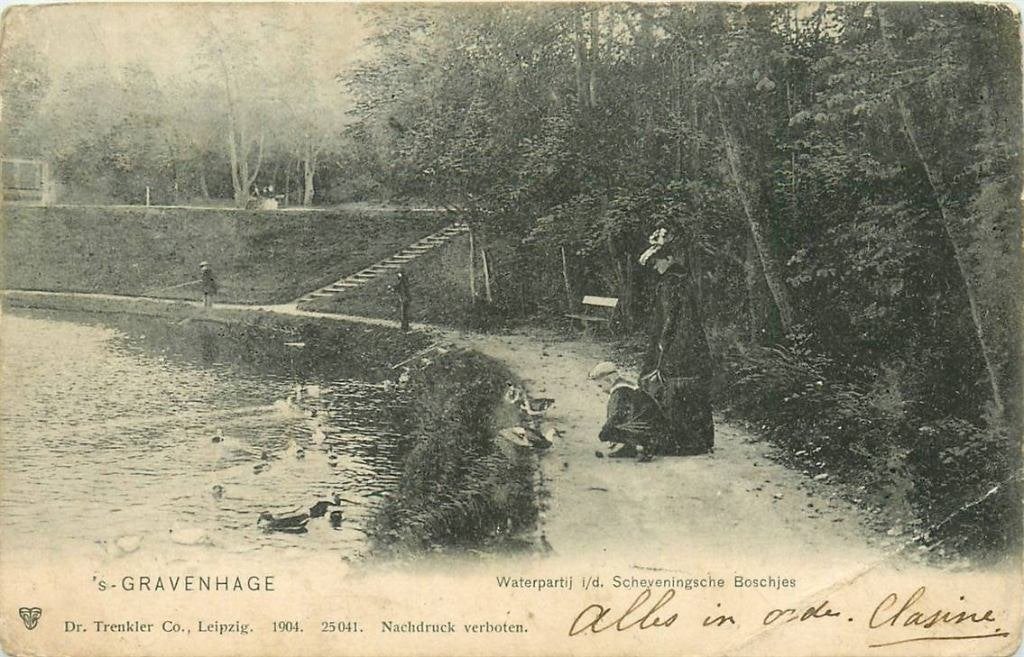 388-287-041 Den Haag Waterpartij id Scheveningsche Boschjes, Verzenden, Voor 1920, Zuid-Holland