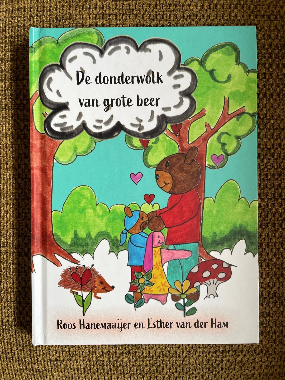Roos Hanemaaijer - De donderwolk van grote beer, Boeken, Roos Hanemaaijer; Esther Van der Ham, Fictie algemeen, Ophalen of Verzenden