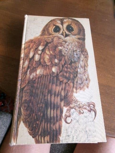 HET BESTE VOGELBOEK, Verzenden, Zo goed als nieuw, Natuur algemeen