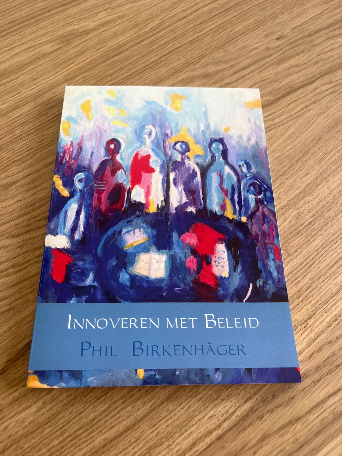 Innoveren met Beleid - Phil Birkenhäger, Ophalen of Verzenden, Gamma, Zo goed als nieuw, HBO