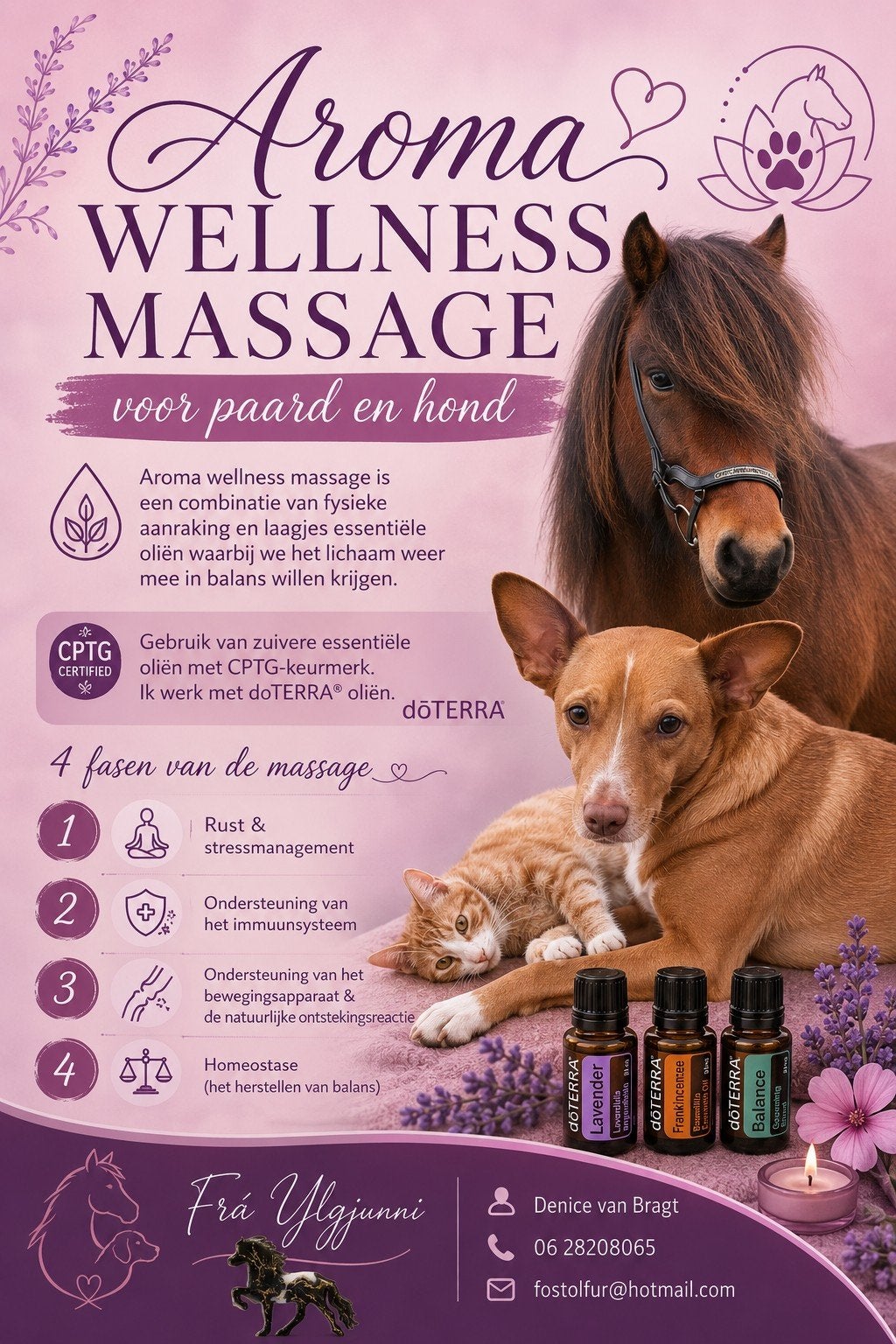 Aroma wellness massage voor paard en hond, Dieren en Toebehoren, Ophalen, Nieuw