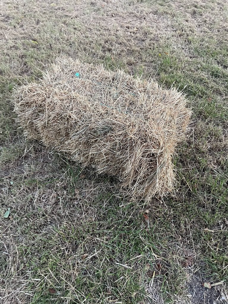 Kleinebaaltjes paardenhooi, Dieren en Toebehoren, Ophalen of Verzenden, Vee