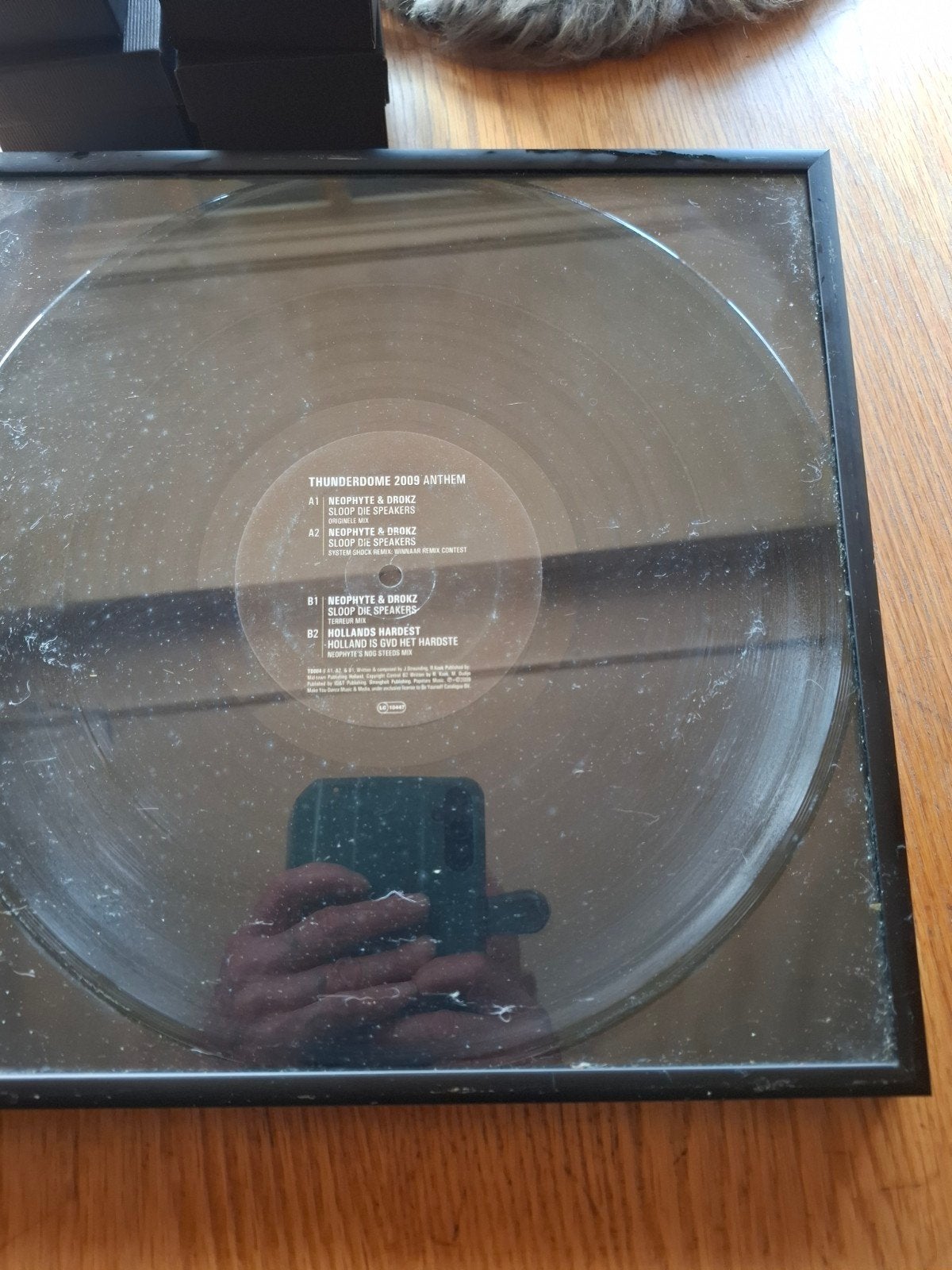 Thunderdome 2009 Anthem Vinyl - Ingelijst, LP, Gebruikt, Speciale editie, Ophalen of Verzenden