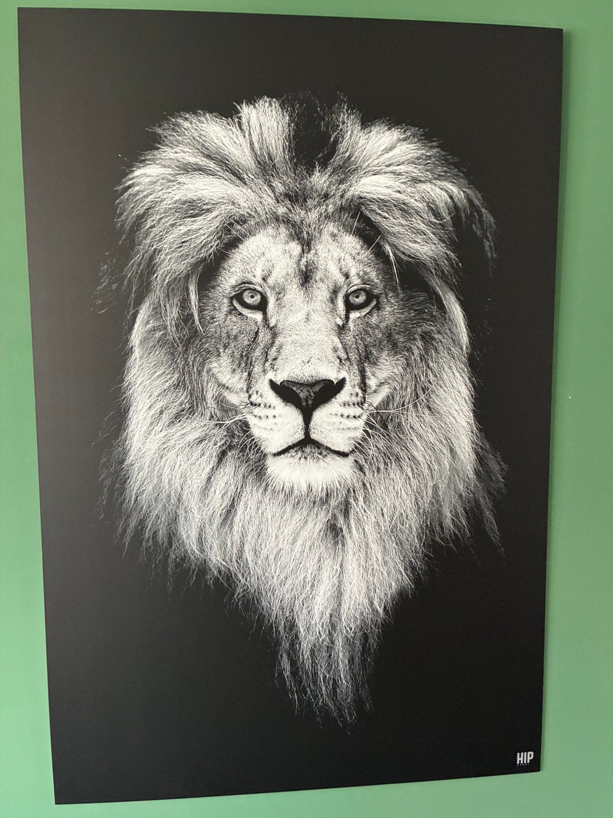 Dieren portret van hip aan je muur, Dieren, Print, Composieten, Ophalen