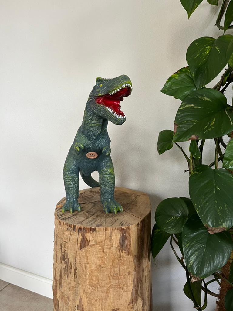 Speelgoed dino 55 cm, Ophalen, Jongen of Meisje