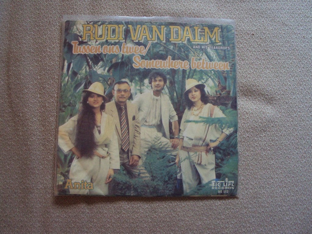 Rudi van Dalm - Tussen ons twee/Anita (1983), Ophalen of Verzenden, Gebruikt, Nederlandstalig