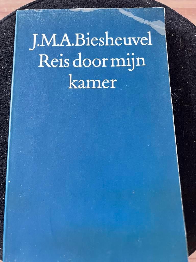 J.M.A. Biesheuvel - Reis door mijn kamer, Boeken, Literatuur, Gelezen, Nederland, Ophalen of Verzenden