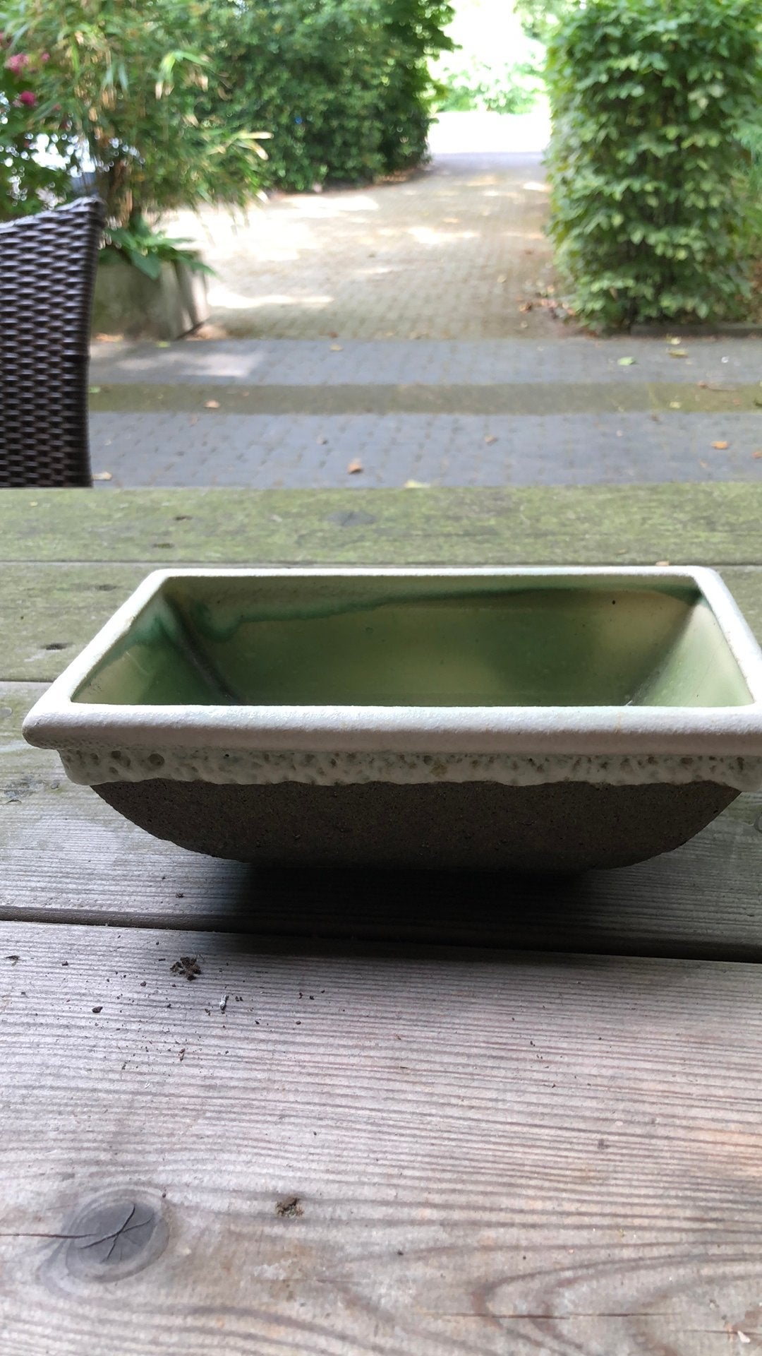 Kleine cactusschaal lavaglazuur, Ophalen of Verzenden