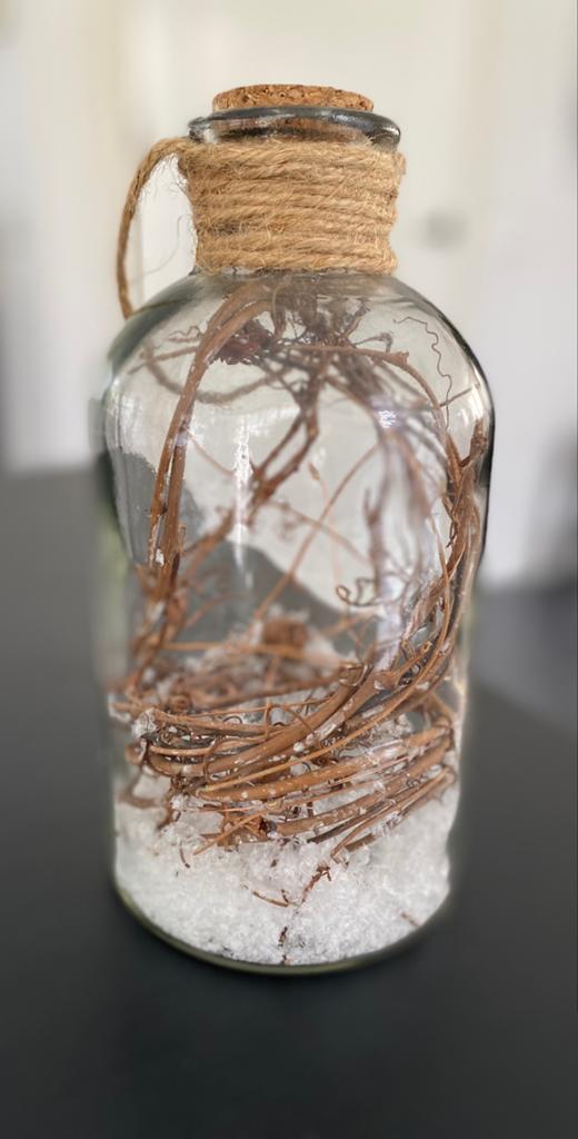 Decoratieve fles met verlichting en natuurlijke elementen, Meerkleurig, Ophalen of Verzenden, Glas, Landelijk