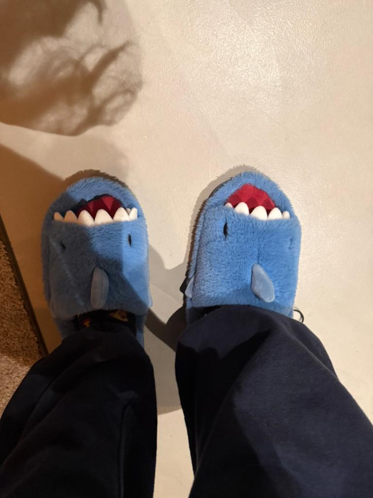 Gebruikte haaien sloffen met witte tandjes, Ophalen of Verzenden, Zo goed als nieuw, Pantoffels of Sloffen