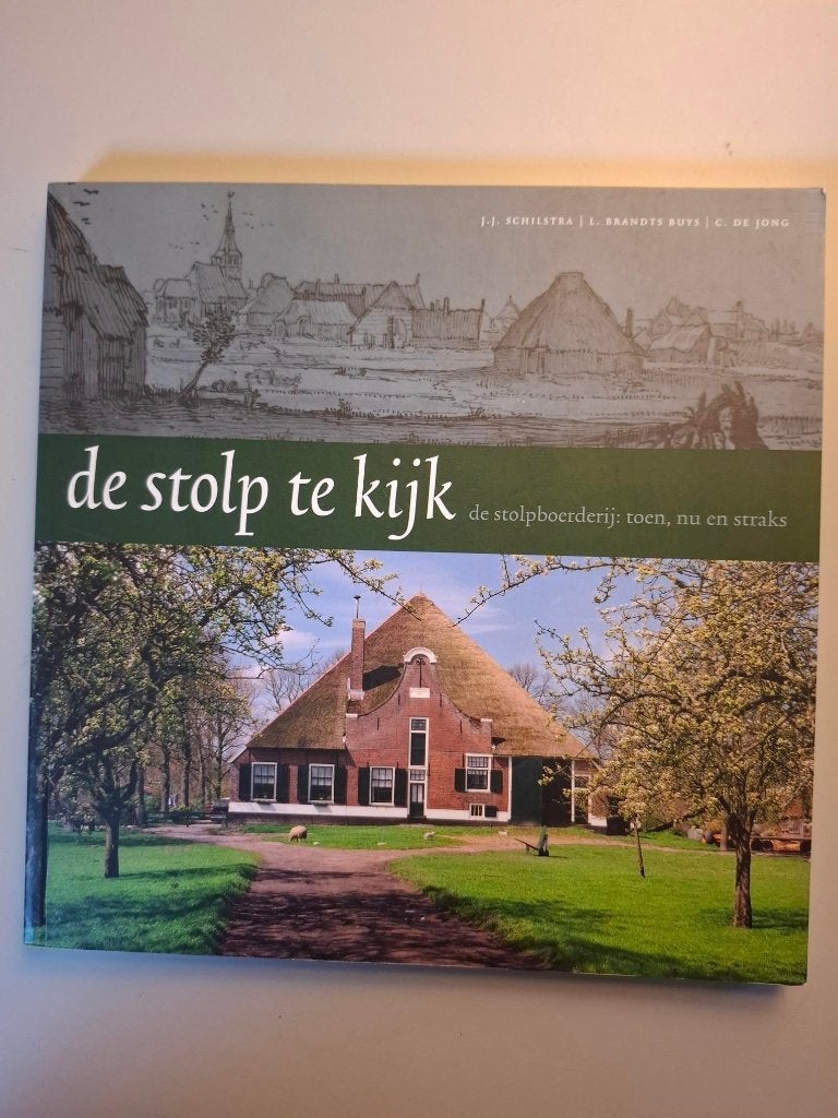 De stolp te kijk, Boeken, Overige Boeken, Zo goed als nieuw, Ophalen of Verzenden