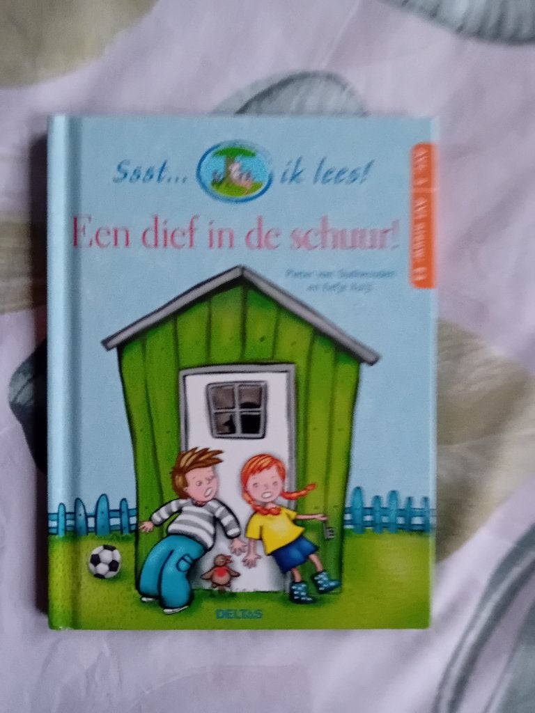 Een dief in de schuur van Pieter van Oudheusden, Ophalen, Gelezen, Fictie algemeen