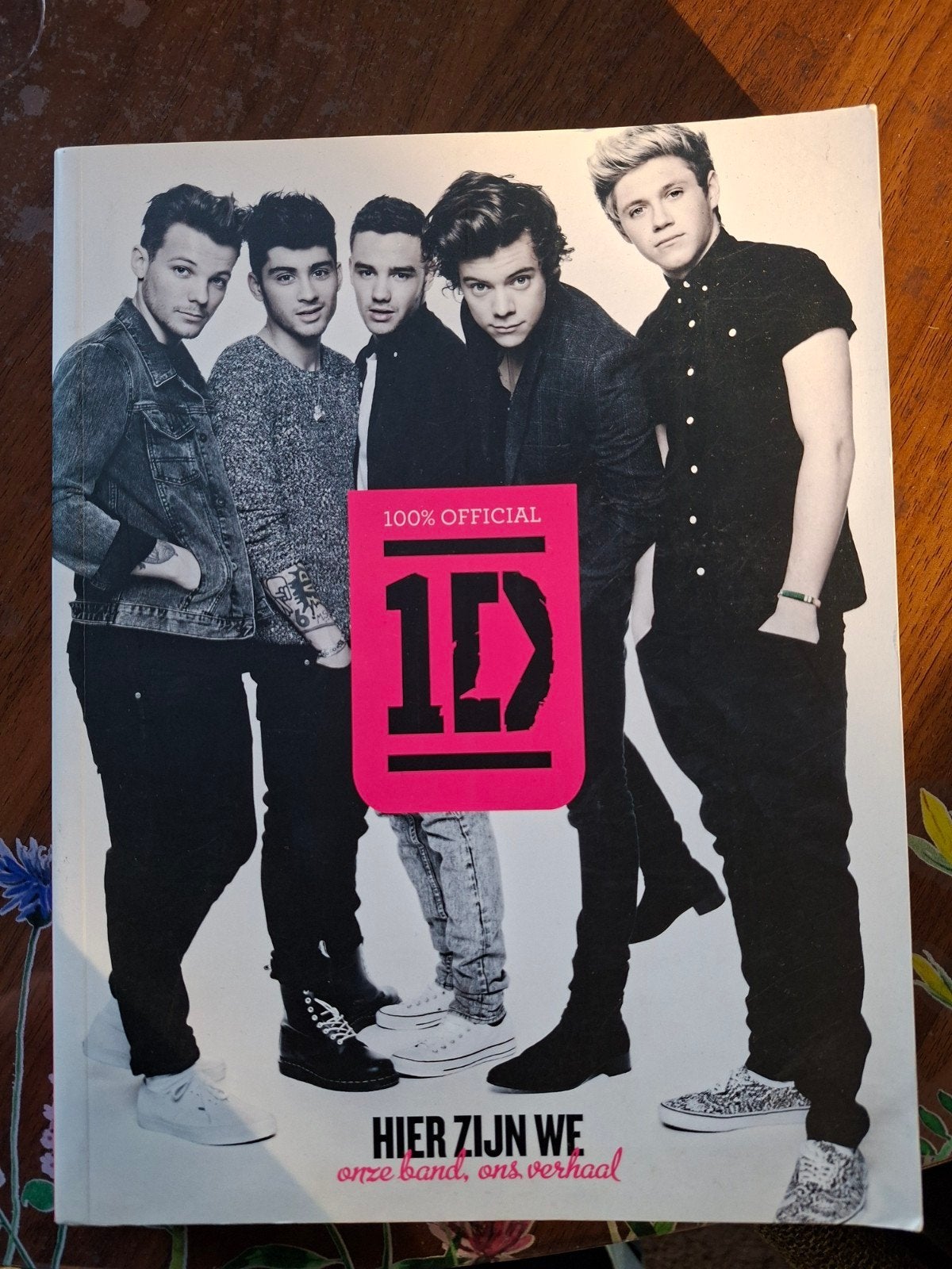 One Direction: Wij Zijn One Direction! Boek, Ophalen of Verzenden, Zo goed als nieuw, Artiest, One Direction