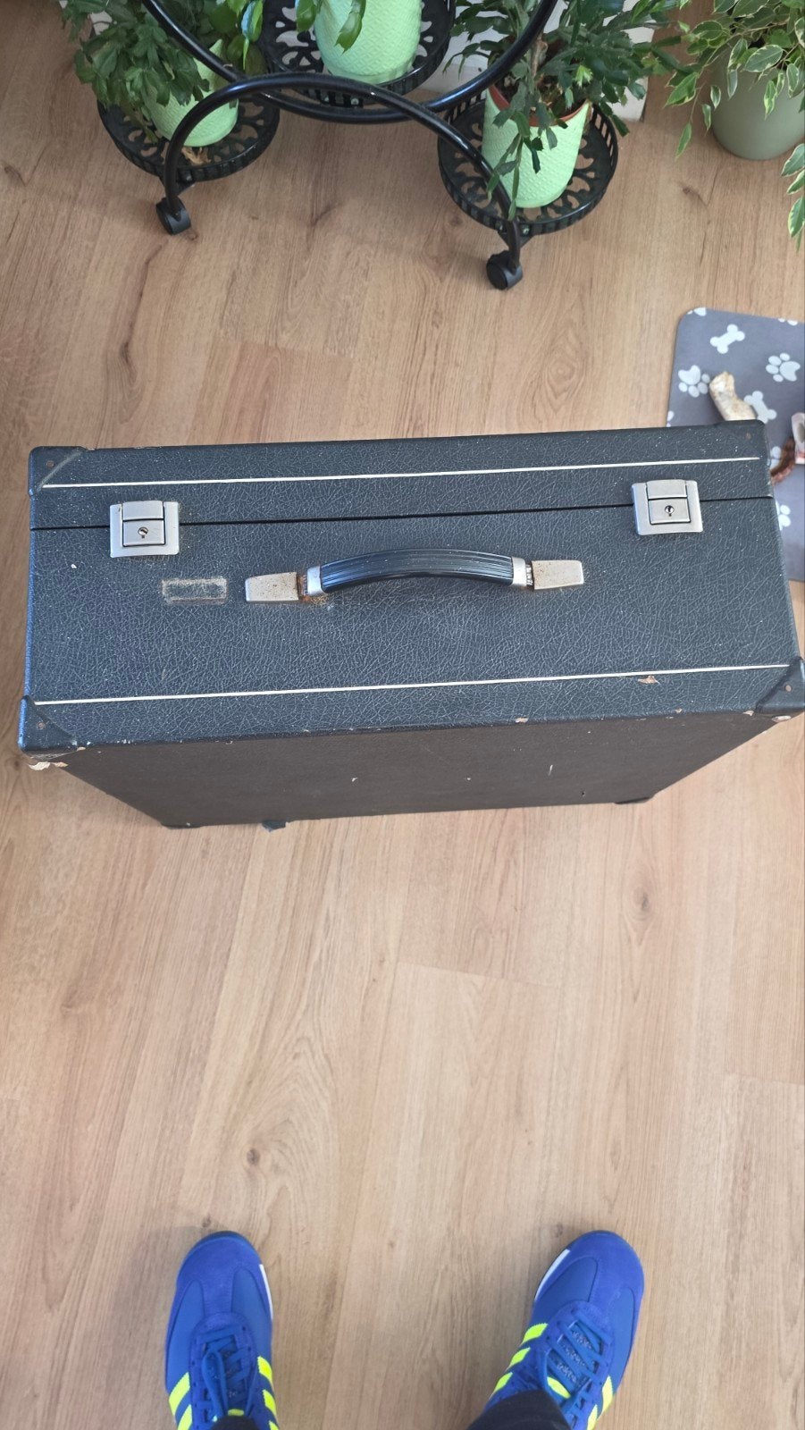 Akordeon 100% goed, recent onderhoud gehad, Muziek en Instrumenten, Ophalen, Overige formaten, Met koffer, Toetsaccordeon