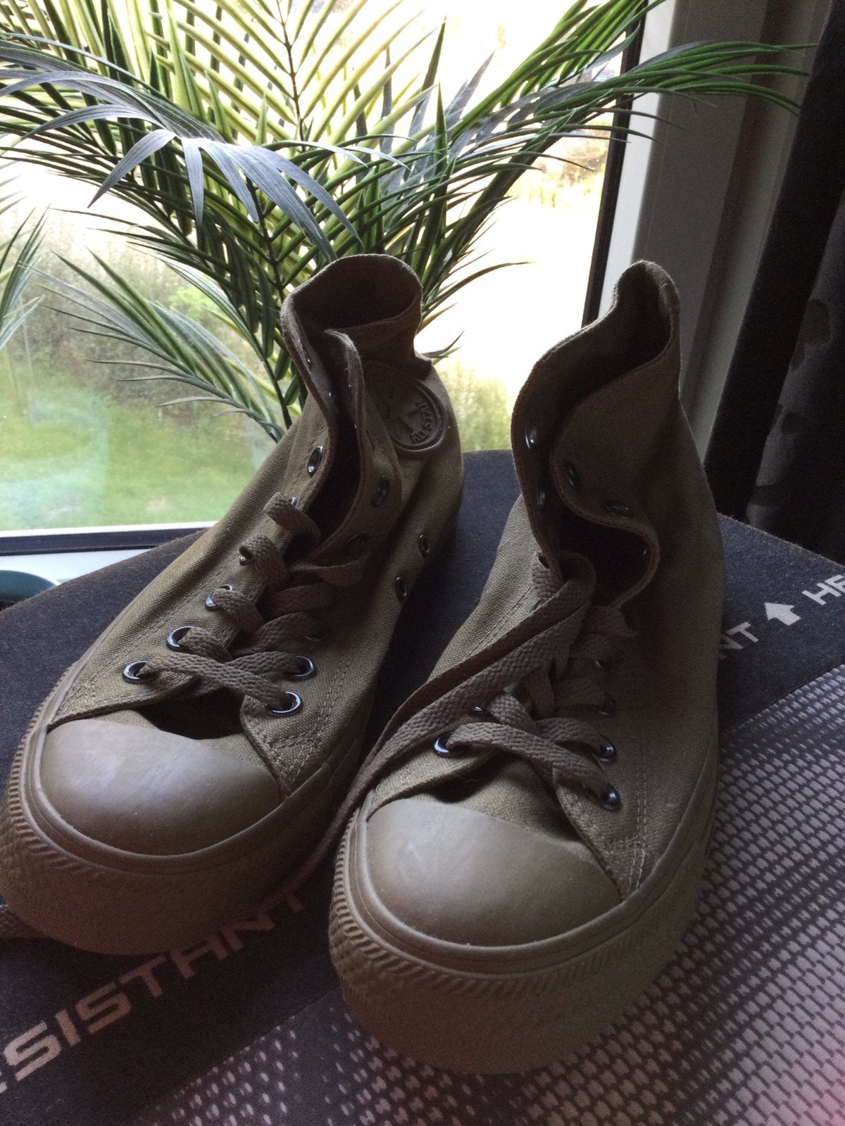 All green nieuwe/ongedragen Converse All Stars maat 41, Nieuw, Ophalen of Verzenden, Groen, Converse All stars