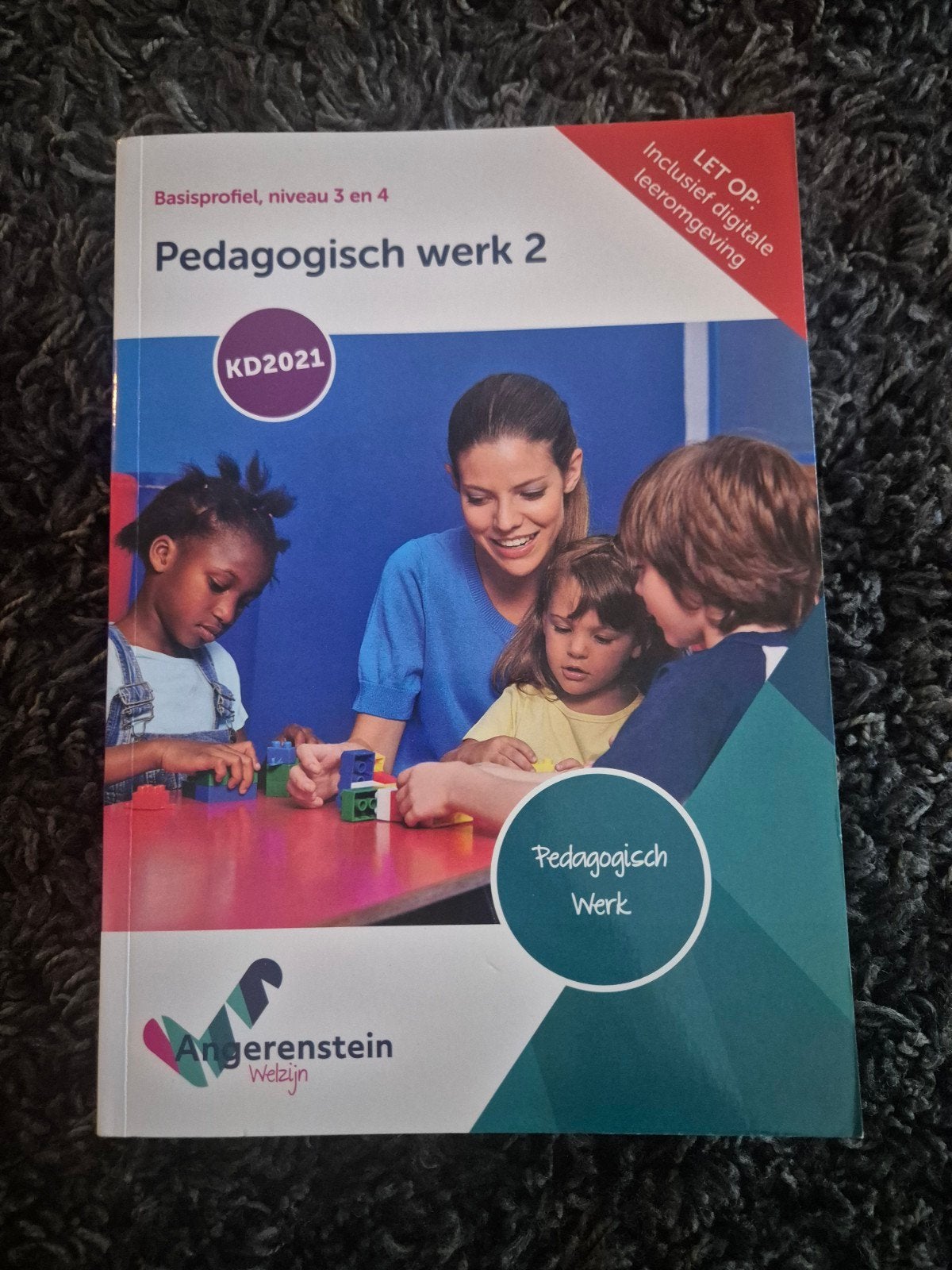 Pedagogisch werk 2 - Basisprofiel, niveau 3 en 4, Overige vakken, Nieuw, Ophalen of Verzenden, Angerenstein Welzijn