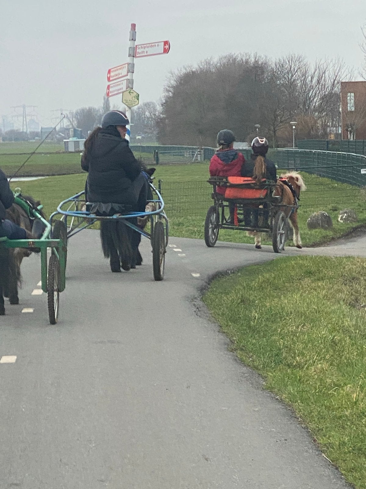 Gezocht Monteur cavalettie sulkys Westland, Ophalen