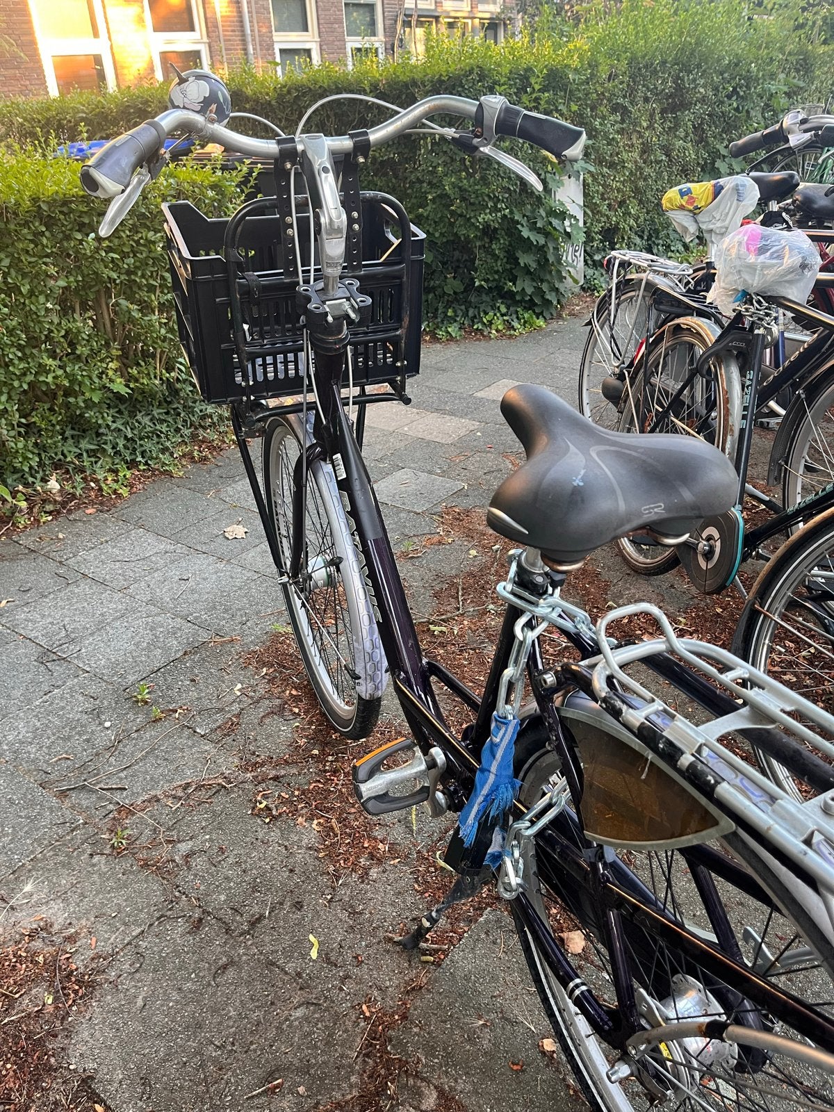 Mamafiets met kinderzitje, Dubbele standaard, Ophalen, Overige merken, 53 tot 56 cm